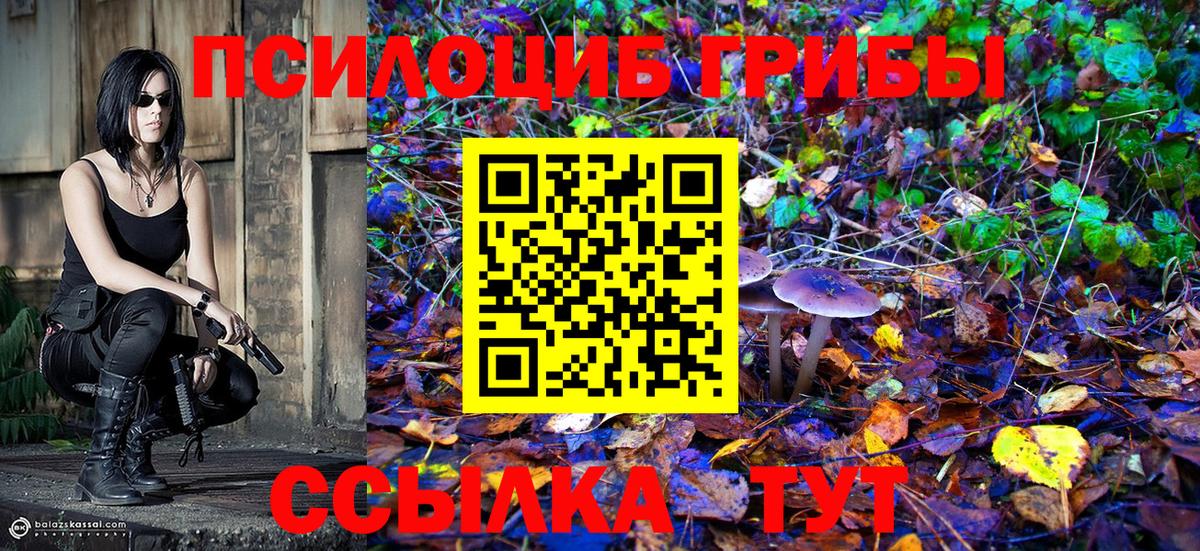 Нижнеудинск  Галлюциногенные грибы мицелий  Вход с VPN  Галлюциногенные грибы Cubensis 